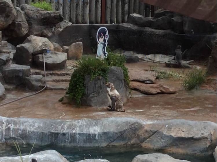 %e4%bc%81%e9%b5%9d%e7%88%ba%e7%88%ba%e9%81%8e%e4%b8%96