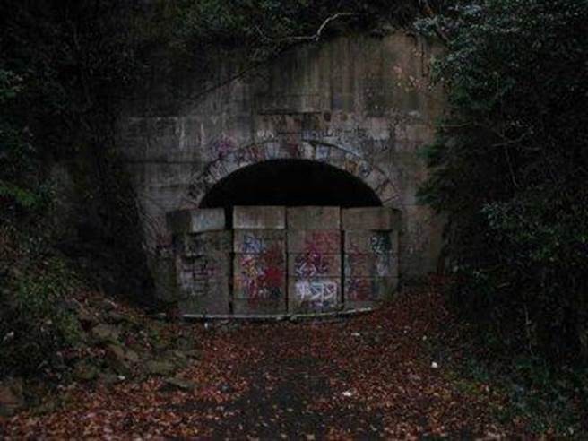 傳出陣陣絕望叫聲...「一探究竟絕對連屍體都找不到」！日本最陰「犬鳴隧道」失蹤近百人，就像被詛咒一樣！