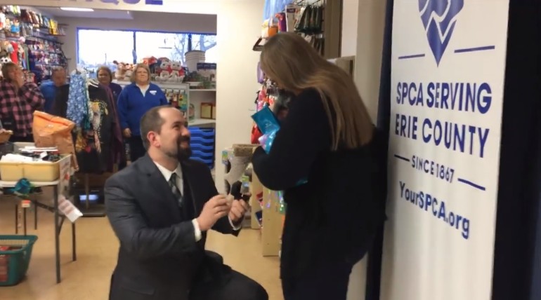 %e5%b0%8f%e8%b2%93%e6%b1%82%e5%a9%9a