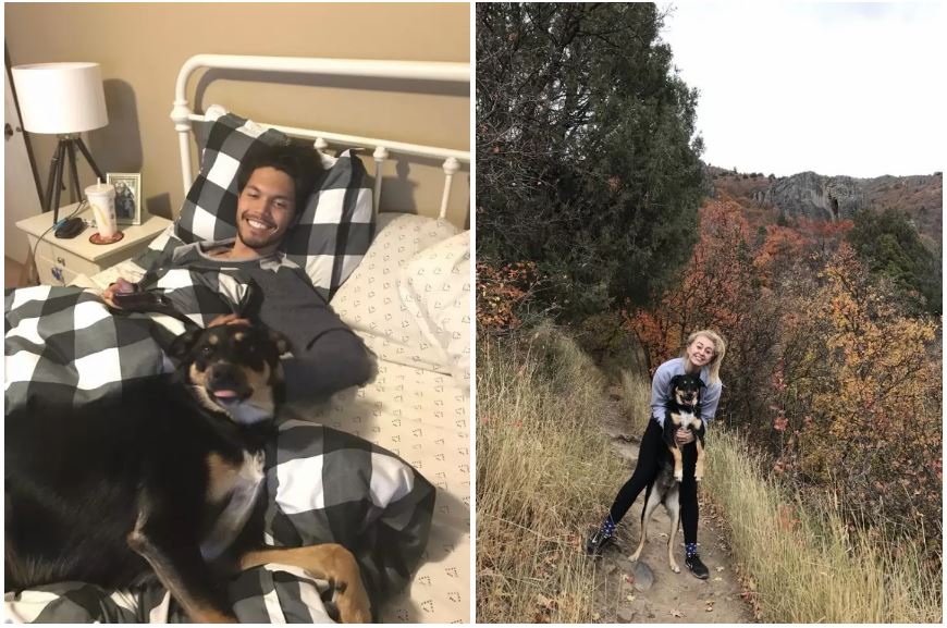 %e7%8b%97%e7%8b%97%e5%92%b3%e5%97%bd%e5%92%b3%e4%b8%8d%e5%81%9c