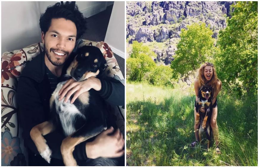 %e7%8b%97%e7%8b%97%e5%92%b3%e5%97%bd%e5%92%b3%e4%b8%8d%e5%81%9c