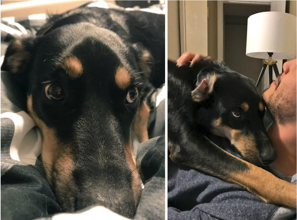 %e7%8b%97%e7%8b%97%e5%92%b3%e5%97%bd%e5%92%b3%e4%b8%8d%e5%81%9c