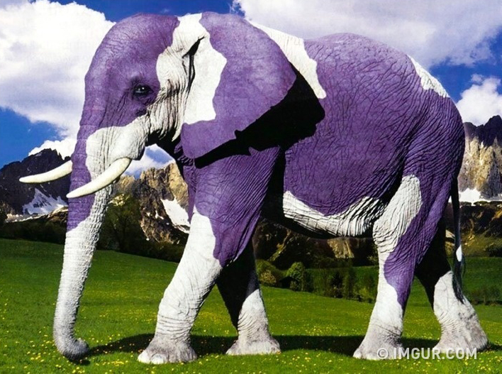 %e5%83%8f%e6%98%af%e5%9c%a8%e5%b9%b3%e8%a1%8c%e6%99%82%e7%a9%ba%e6%8b%8d%e7%9a%84%e8%a9%ad%e7%95%b0%e7%85%a7