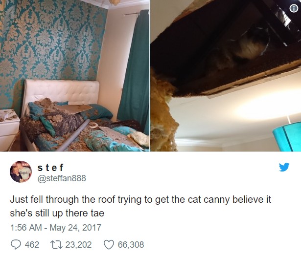 %e7%b6%b2%e5%8f%8b%e6%a2%97%e5%9c%96