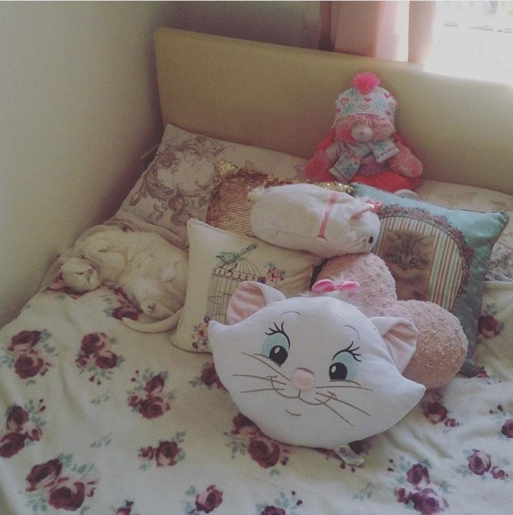 %e5%8b%95%e7%89%a9%e9%9a%b1%e8%ba%ab%e8%a1%93