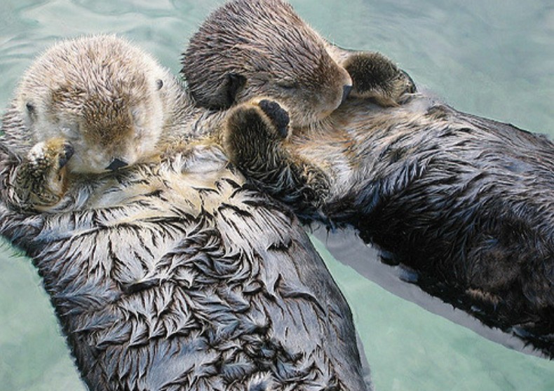 %e5%a5%87%e7%89%b9%e4%ba%8b%e5%af%a6