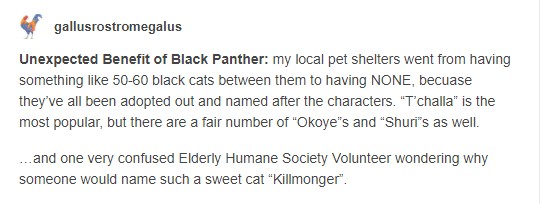 %e9%bb%91%e8%b1%b9%e8%ae%93%e8%b6%85%e5%a4%9a%e4%ba%ba%e6%83%b3%e9%a0%98%e9%a4%8a%e9%bb%91%e8%b2%93