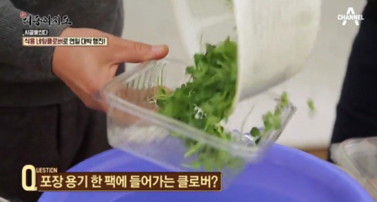 %e5%9b%9b%e8%91%89%e5%b9%b8%e9%81%8b%e8%8d%89