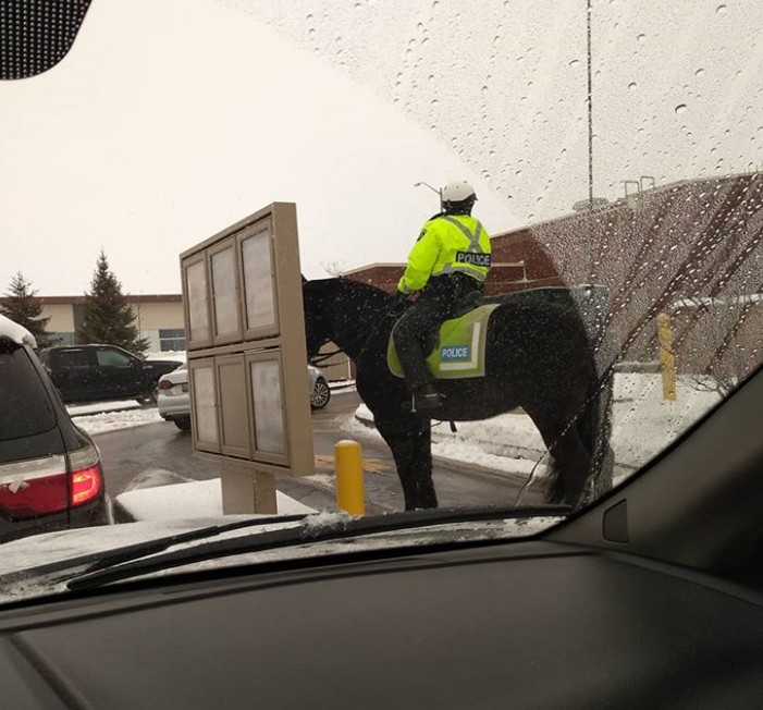 %e5%8a%a0%e6%8b%bf%e5%a4%a7%e6%97%a5%e5%b8%b8