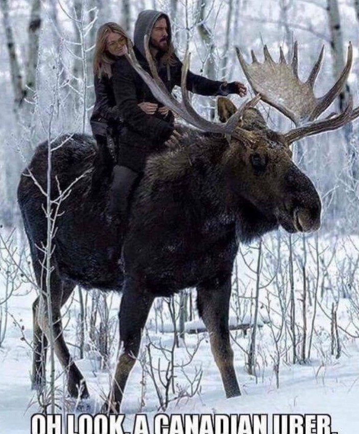 %e5%8a%a0%e6%8b%bf%e5%a4%a7%e6%97%a5%e5%b8%b8