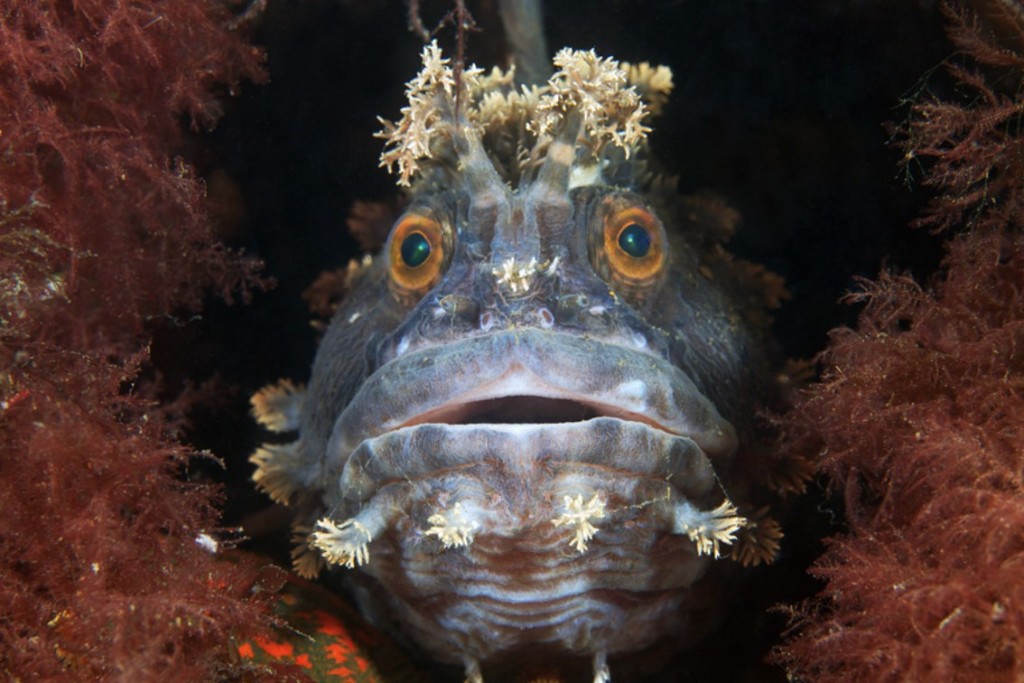 %e4%b8%96%e7%95%8c%e5%90%84%e5%9c%b0%e5%a5%87%e6%99%af%e7%85%a7