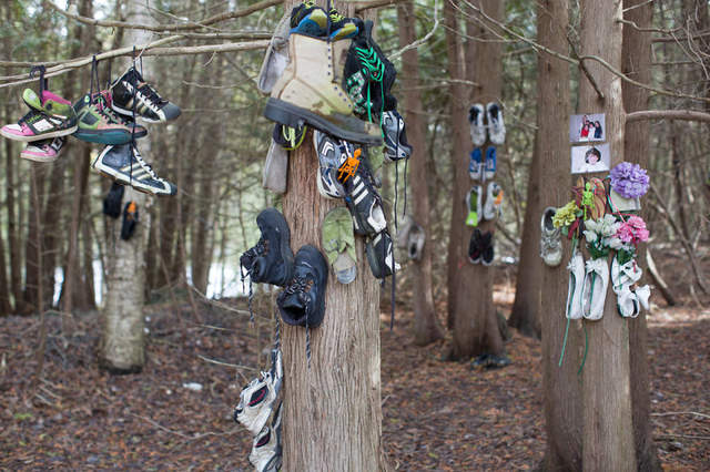 %e9%9e%8b%e5%ad%90%e6%a3%ae%e6%9e%97