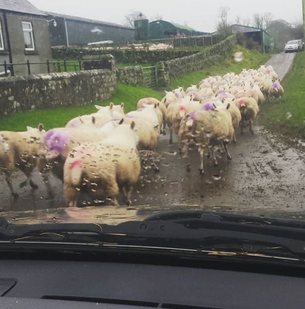 %e6%9c%80%e6%89%af%e8%ab%8b%e5%81%87%e5%8e%9f%e5%9b%a0