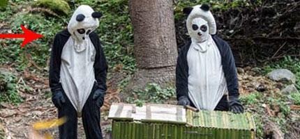 成都大熊貓研究繁殖研究基地