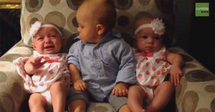小寶寶被雙胞胎嚇到
