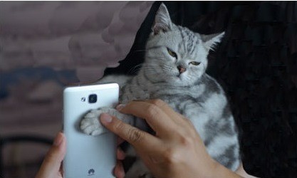 无奈之余，为了展示手机里他们公司新开发的软体，他也只能硬著头皮...拿起猫咪的肉球来解开手机了。