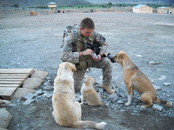 soldier-with-pet-22__605