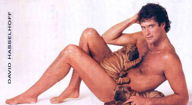 the-hoff