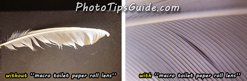 without-and-with-’’macro-toilet-paper-roll-lens’’-4