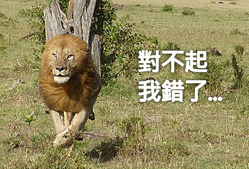 獅子爆笑