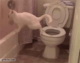 1410082237_cat_pooping_in_the_toilet_fail