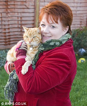 The-Artful-Dodger-A-Ginger-Tom-Catching-the-Bus-by-Himself-2