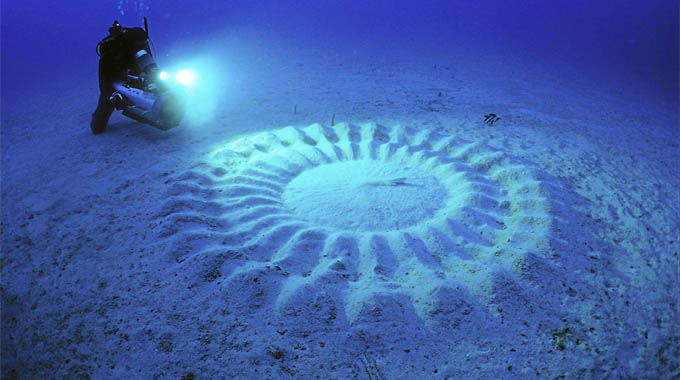 Travel-Japan-Mysterious-Giant-Underwater-Crop-Circles-1