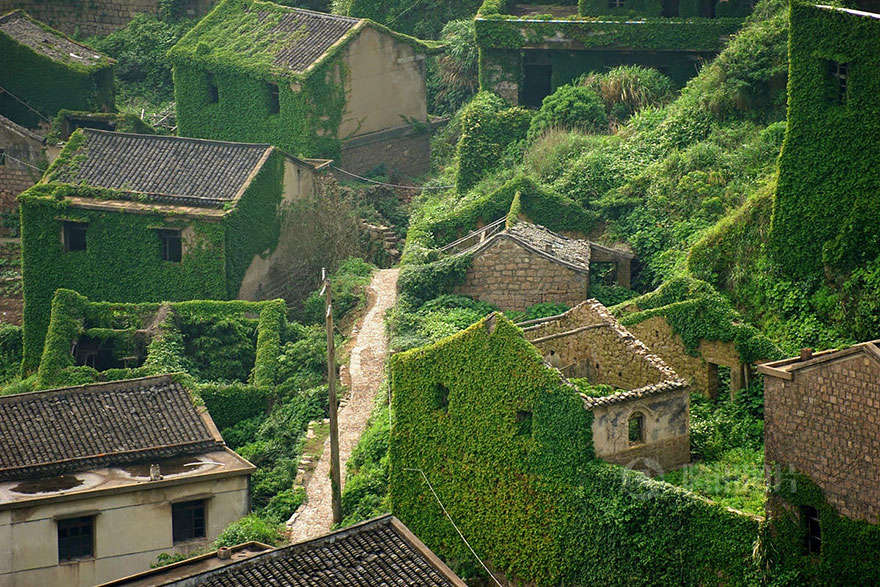 abandoned-village-zhoushan-china-103