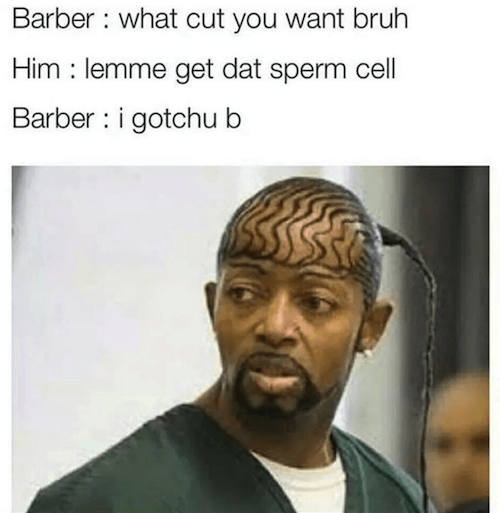 barber-meme-what-you-want-sperm-cell