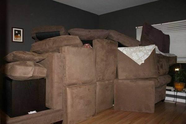 house-fort-craigslist-posting