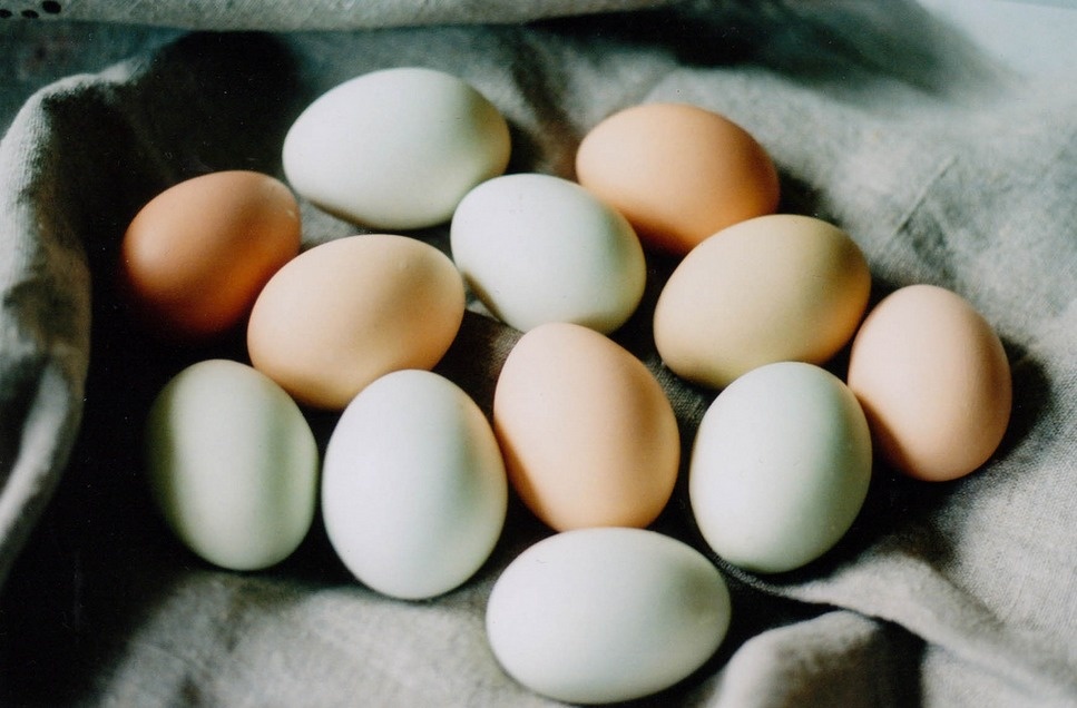 lifebuzz-17563808407583dc3011d4eaed4b66c1-limit_2000