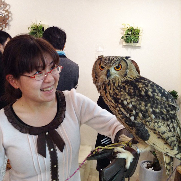 owl-cafe-ikefukuroucafe-tokyo-20