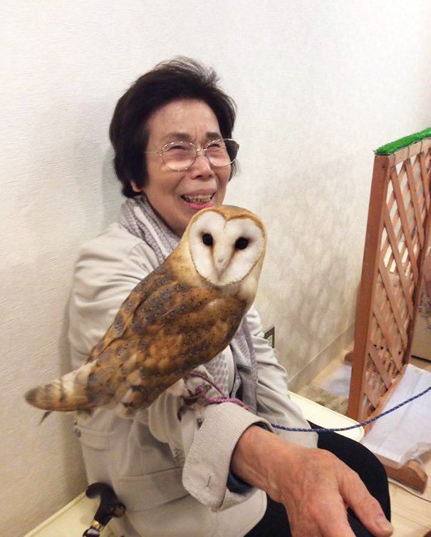 owl-cafe-ikefukuroucafe-tokyo-23