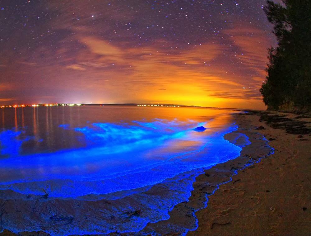 surf-glowing-bioluminescent-maldives-166538