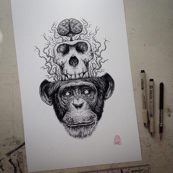 animal-skull-drawings-paul-jackson-5