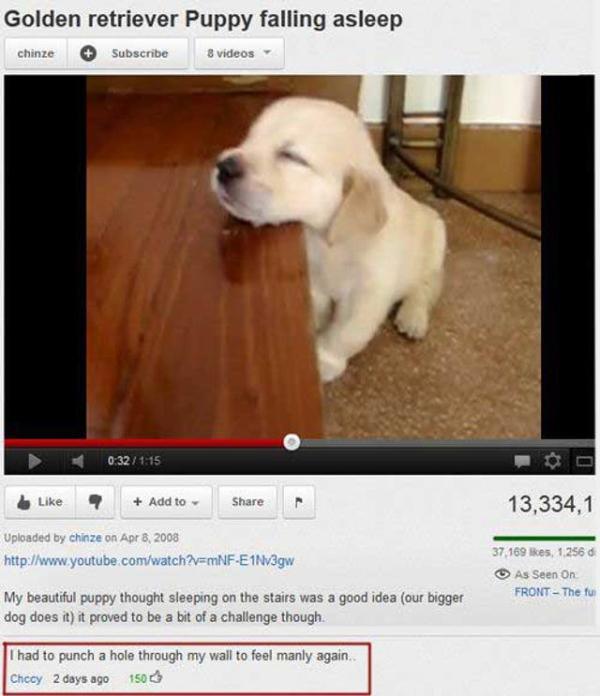 you-should-always-read-the-comments-24-photos-12
