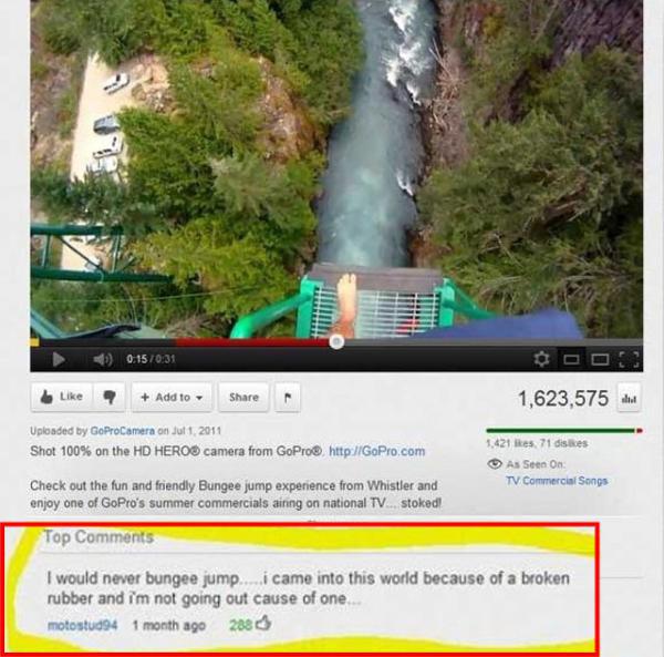 you-should-always-read-the-comments-24-photos-251