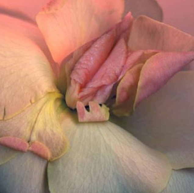 螢幕快照 2015-07-02 下午3.53.00