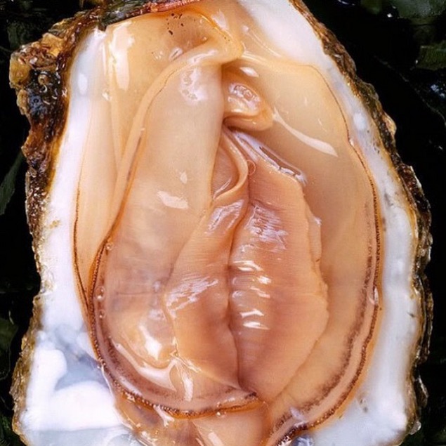 螢幕快照 2015-07-02 下午3.53.14