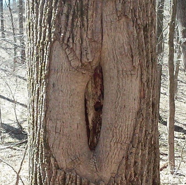 螢幕快照 2015-07-02 下午3.53.40