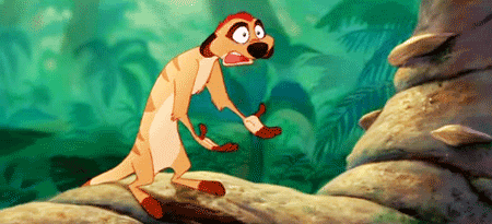 The-Lion-King-Timone-Shocked-Face-Gif