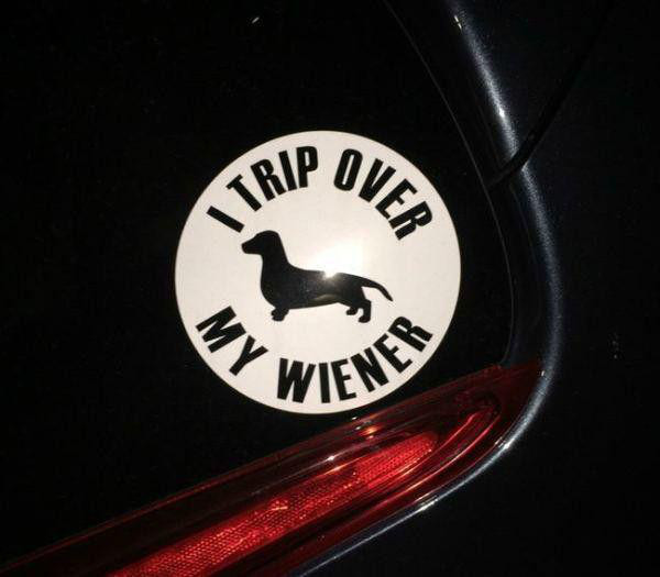 bumper-stickers-that-get-right-to-the-point-22-photos-15