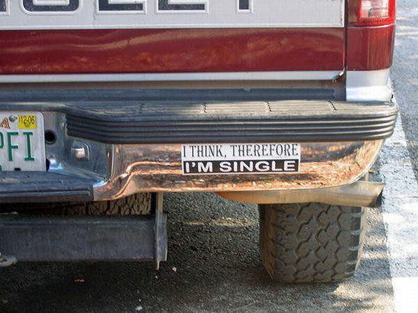 bumper-stickers-that-get-right-to-the-point-22-photos-8
