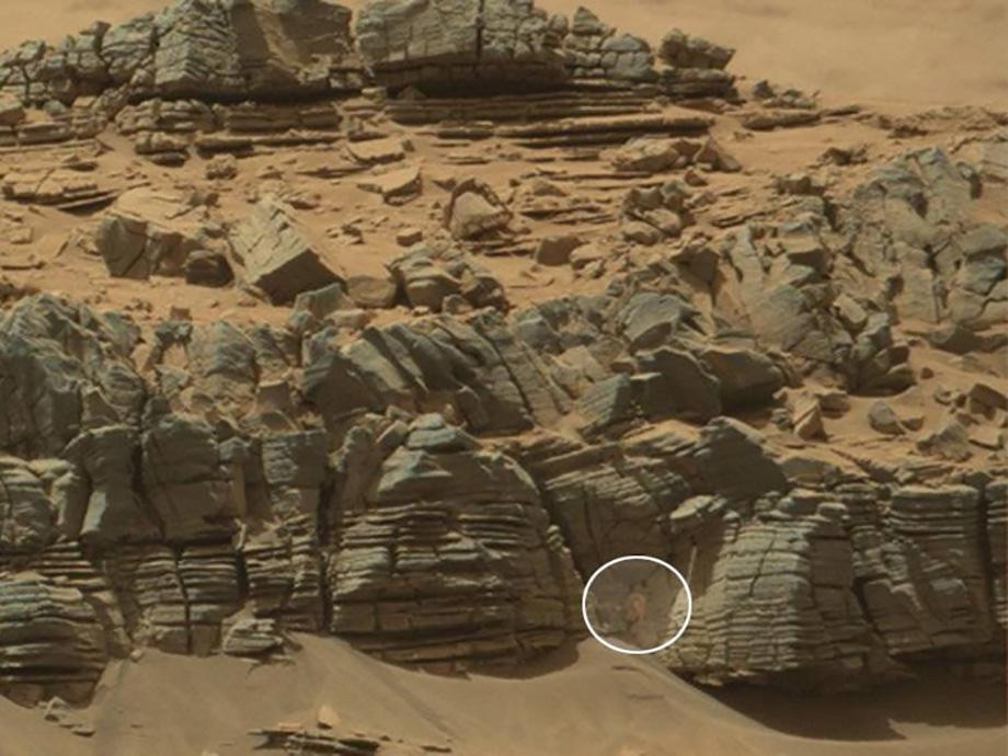 did-nasa-discover-a-crab-like-alien-on-mars-15-hq-photos-16