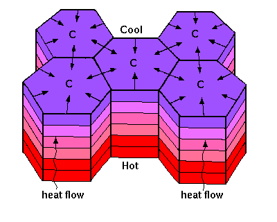 joint4