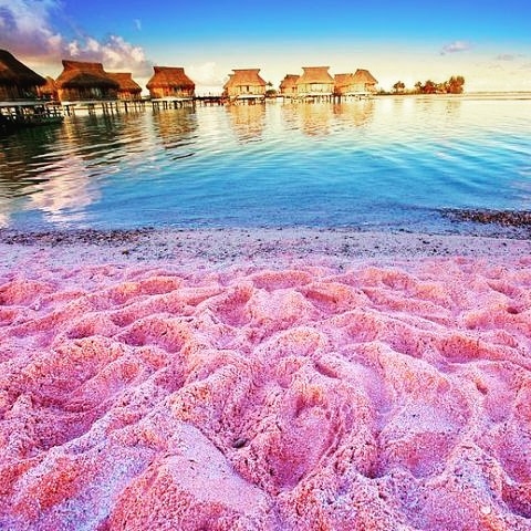 pink-beach7