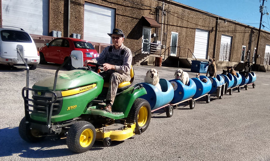 rescued-dog-train-tractor-stray-eugene-bostick-7