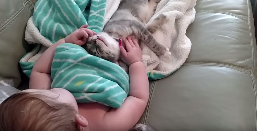 小寶寶和貓咪起床