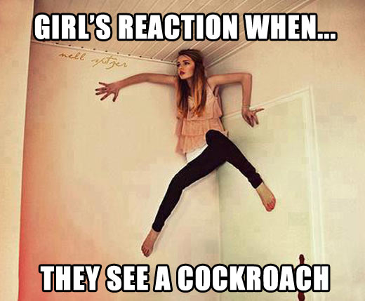 funny-girls-reaction-cockroach-wall