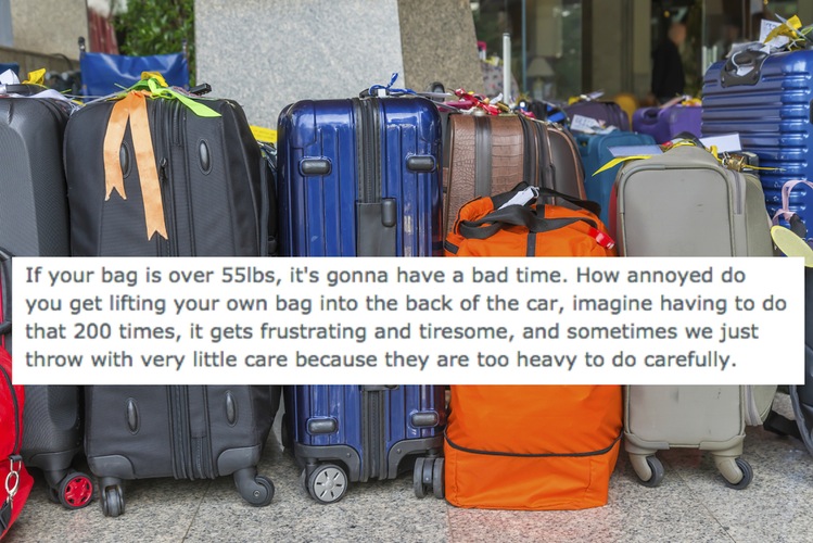 http---wp-prod-02.distractify.com-wp-content-uploads-2015-10-baggage-55